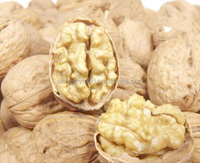 China Thin skin walnut price 1kg for sale