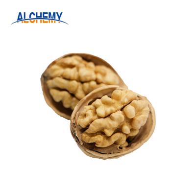 China Dry 2019 New Crops Shelled Walnuts Whole Sale for sale