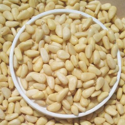 China Bulk Whitened Raw Snacks Siberia Quality Pine Nut Kernels for sale