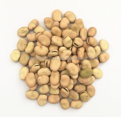 China Dry grade a bean with low price from China for sale