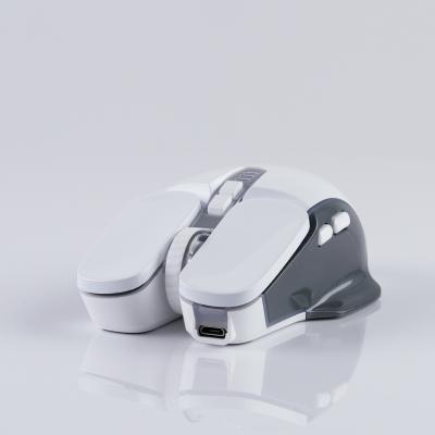 China Fill Light High DPI Best Prices Up Air Vertical USB Ergonomic Universal Laptop Wireless Mouse for sale