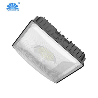 China Warehouse 40W 60W 80W LED Canopy Light Gas Station Led Garage Lights Ceiling Mount Lamp for sale