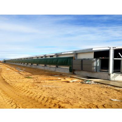 China Steel Fabricated Prefab House Farm Building Steel Structure Poultry House For Chicken for sale