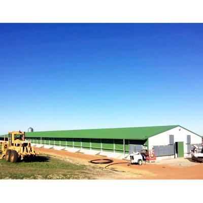 China Light Steel Frame Structure Chicken Poultry House Steel Fabricated House Different Types for sale