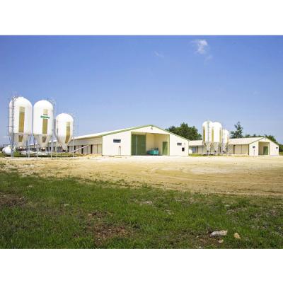 China Steel Fabricated House Steel Prefab Egg Layer Building Shed Modular Design Prefab Poultry House For Chicken Farm for sale