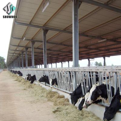 China Steel Fabricated House Prefab Cow Farm Building House With Factory Price for sale