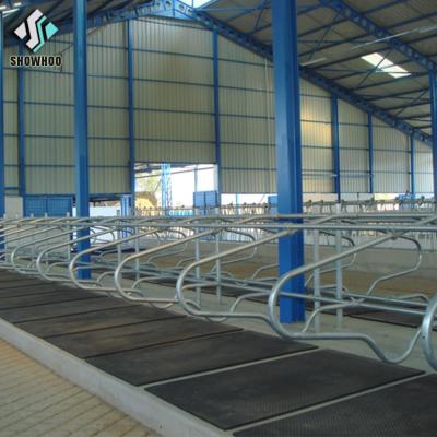 China Hot Sale Steel Fabricated House Cow Cattle Farm Building With Factory Price for sale