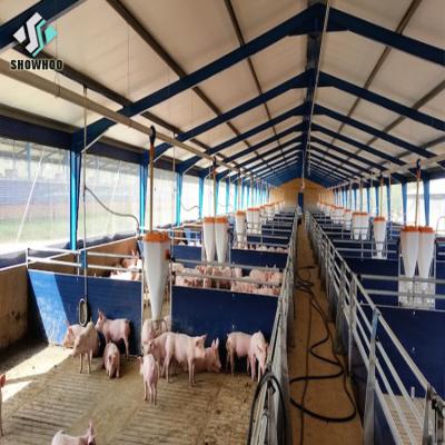 China Modern Design Structural Steel Farm Buildings Prefab Agricultural Pig Farm for sale