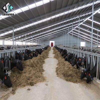 China Modern Design Cattle Farm House Prefab Steel Cow Milk Farm Building for sale