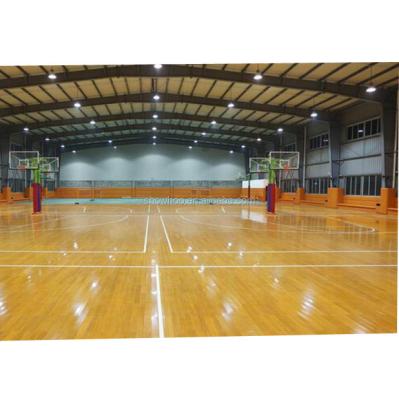 China Prefab Gym Building Design Steel Frame Structure Building Gymnasium for sale