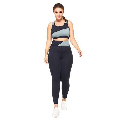 China Oversized Sexy Breathable Women Fitness Yoga Use XXL XL Sports Bra Tops And Gym Leggings Plus Sizes Activewear for sale