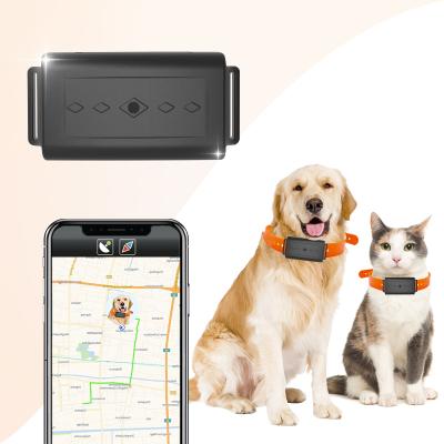 China For Good Price 4g GPS Cow Pet Tracker IP67 Electric Pet Collar Gps Tracker Dog Waterproof GPS Locator for sale