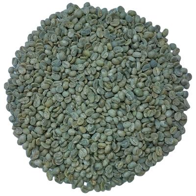 China Zhongnan Classic Top Quality Water Washed Organic Arabica Mansion Green Coffee Bean Screen 14 for sale