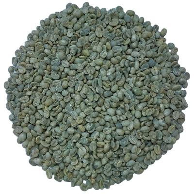 China Zhongnan Classic Mansion High Quality Water Washed Organic Arabica Green Coffee Bean Screen 14 for sale