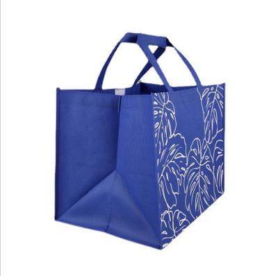 China Customized Eco Friendly Recyclable Folding Kg Printing Bag PP Non Woven Shopping Bag Promotional Non Woven Printing for sale