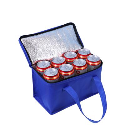 China Insulated 2021 Wholesale Custom Cheap Non Woven Cooler Bag 6 Boxes And 8 Box Cooler Bag for sale