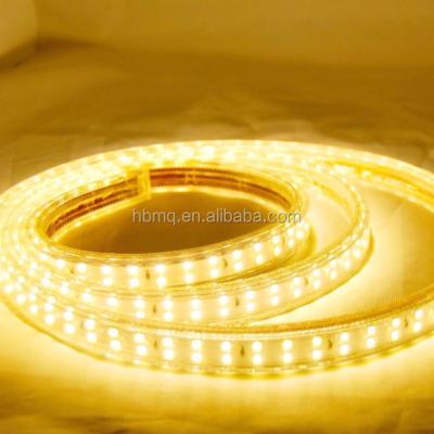 China High Quality LANDSCAPE China Supplier DC12V 24V Flexible LED Strip Light for sale