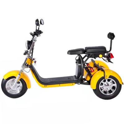 China Unisex Model CP-3.0 EEC/COC Certificated Electric Tricycles 2000W 12AH/20AH/40AH Double Seat Citycoco Adults for sale