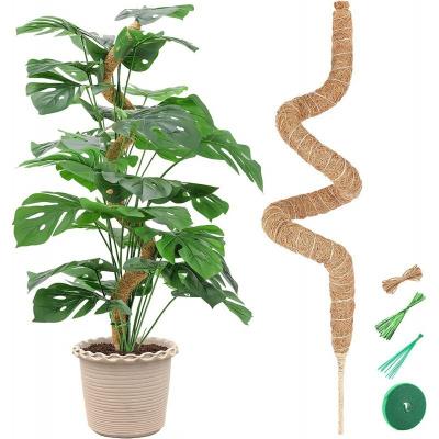 China Eco-Friendly Indoor Moss Stick Totem Inch Monstera Plant Support Sphagnum Moss Pole for sale