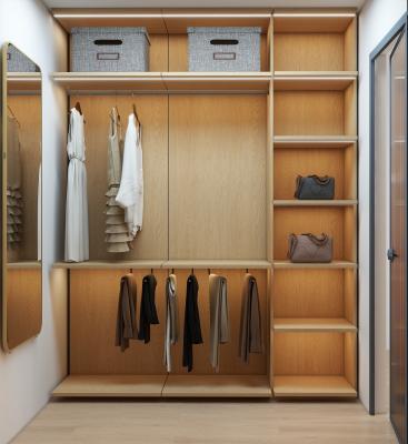 Chine Custom Closet Systems Modern Clothes Storage Cabinets Set Bedroom Furniture Organizer Wood Wardrobe Closet à vendre