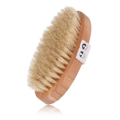 China Wet & Dry Body Skin Body Brush By Bristle Shower Bath Brush For Better Exfoliating for sale