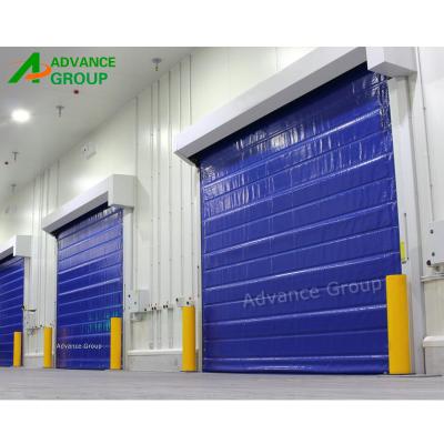 China Modern Warm-keeping Insulated Roll Up Door, Insulated Doors, Insulated Roller Door for sale