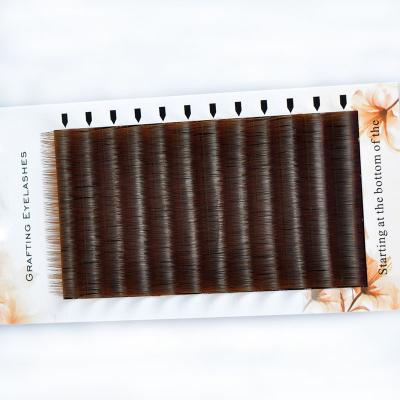 China Camellia Volume Eyelashes Extension Brown Natural Long Strands for sale