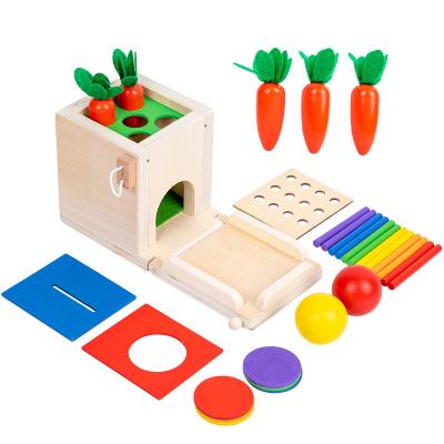 China .inactive 4in1 Montessori Wooden Game Montessori Learning Cube Bonus Sensory Stacking Educational Toys Material Kit Includes Permanent Box for sale