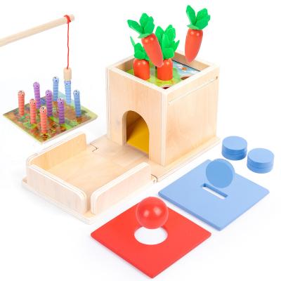 China Montessori Material Toys 6 in 1 Sensory Cube Bonus Kit Includes Object Permanent Stacking Wooden Play Boxes Matching Toy 6in1 for sale