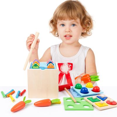 China 100% Eco-friendly Material Montessori Toys Boys And Girls Carrots Harvest Play Wooden Shape Matching Toys Gifts For Toddlers Wooden Preschool for sale