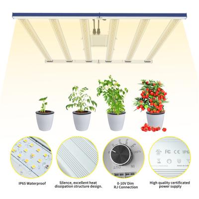 China Seed Starting Pearlteck Led Grow Luz De Resplandor Led Indoor 2021 Grow Led Light Plants for sale