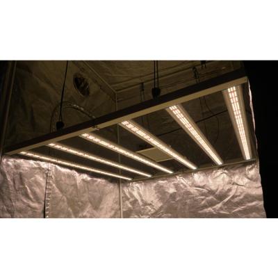 China Seed Starting Manufacturer Indoor Led Growing Greenhouse 3000K\5000k\660nm , Led Ligth Grow 800 Lm301B Raise Bar for sale