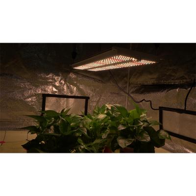 China Seed Starting Wholesale 660Nm Led Panel Plant Grow Light, Plant Light Led Grow Panel Lamp for sale