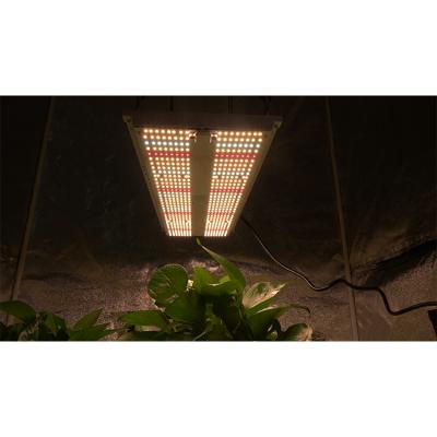 China Seed Starting Pearlteck Indoor Greenhouse Ideal Medicinal Led Plants Grow Light Panel for sale