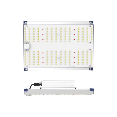 China Seed Starting Pearlteck Indoor Greenhouse Samsung Quantum Lm301B Led Growlight Panel for sale