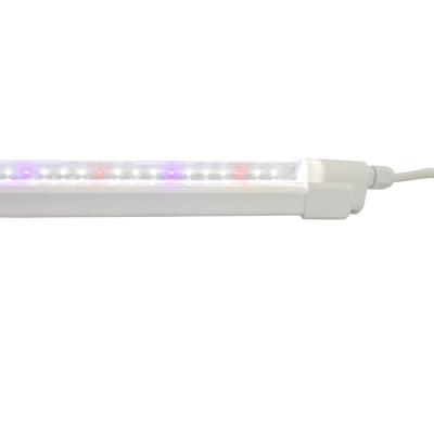 China Seed Starting Wholesale Sowing T3 T5 T8 Led To Grow Light Tubes For Vertical Farming for sale