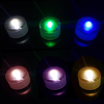 China LANDSCAPE Factory Directly Sell Outdoor Waterproof Solar LED Garden Light Multicolor Solar Landscape Underground Light for sale