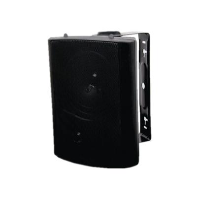 China Professional Wall Hanging FT-105 Mini Speaker for sale