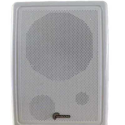 China 30W PORTABLE wall mounted speaker and speaker box on the wall for sale