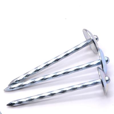 China Factory direct sales of umbrella covering umbrella head nails covering nails electro galvanized for sale