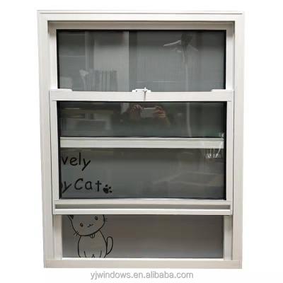 China Aluminum Double Hung Lifting Windows Up And Magnetic Screen Down Windows In White for sale