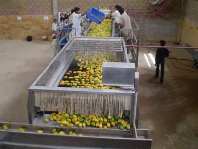 China Complete Mango Peeling Processing Plant Automatic Juice Production Line for sale