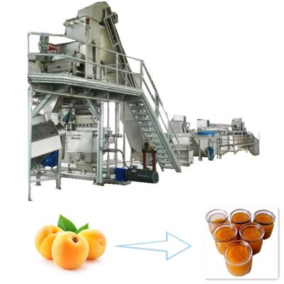 China Stainless Steel Mango Processing Machine Durian Marmalade Processing And Making for sale