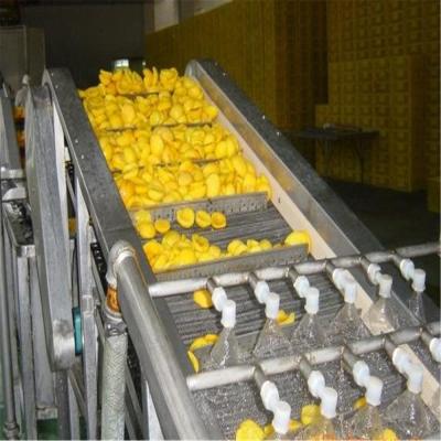 Chine CE ISO Certification Peach Processing Line Silver Color  Automatic Control à vendre