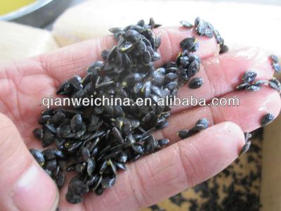 Chine Extracting Passion Fruit Processing Machine For Seed Remove à vendre