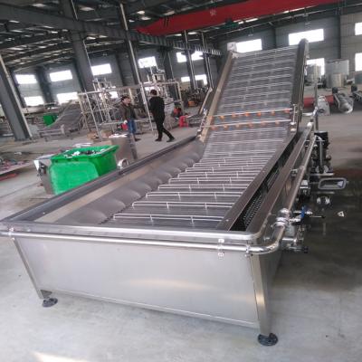 China Bubble Fruit Washing Machine 380v 4.75kw Power For Apple Mango for sale