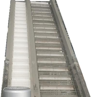 China 1.5kw 300KG Fruit Sorting Conveyor Continuous Stainless Steel zu verkaufen