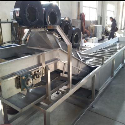 Cina Industrial Roller Conveyor  Fruit Vegetables Bubble Cleaning Washing Roller Conveyor in vendita