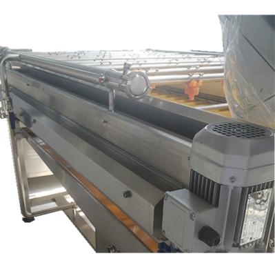 China Brush Style Fruit Sorting Conveyor 380V / 50HZ Stainless Steel for sale