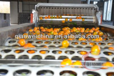 中国 Citrus Sorting Conveyor 380v Voltage 3kw Power With Adjustable Speed Motor 販売のため